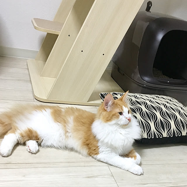 k.さんの実例写真