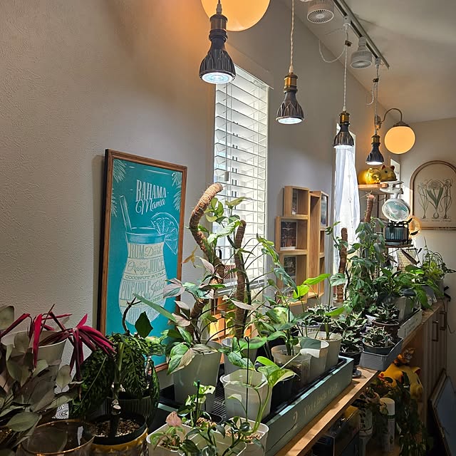 nonbiri_house_さんの部屋