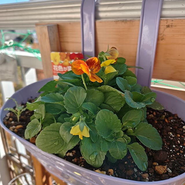 mariaさんの部屋