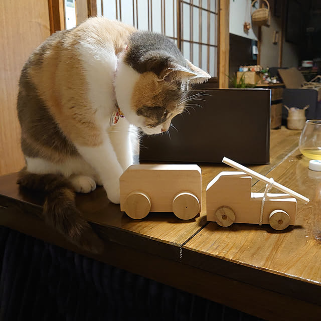 fukuさんの実例写真