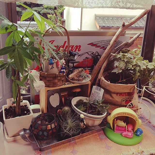 yukkoさんの実例写真
