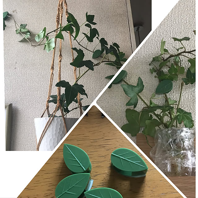 kou-kitiさんの実例写真
