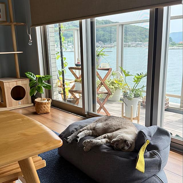 amさんの部屋