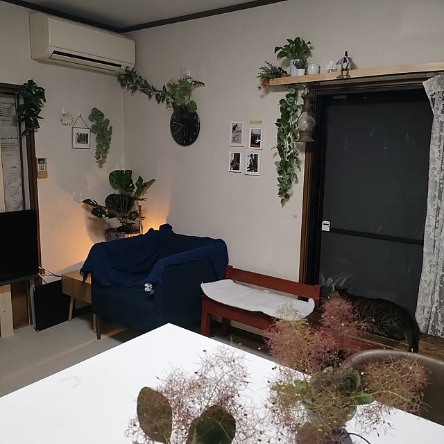 mori_6_12さんの実例写真
