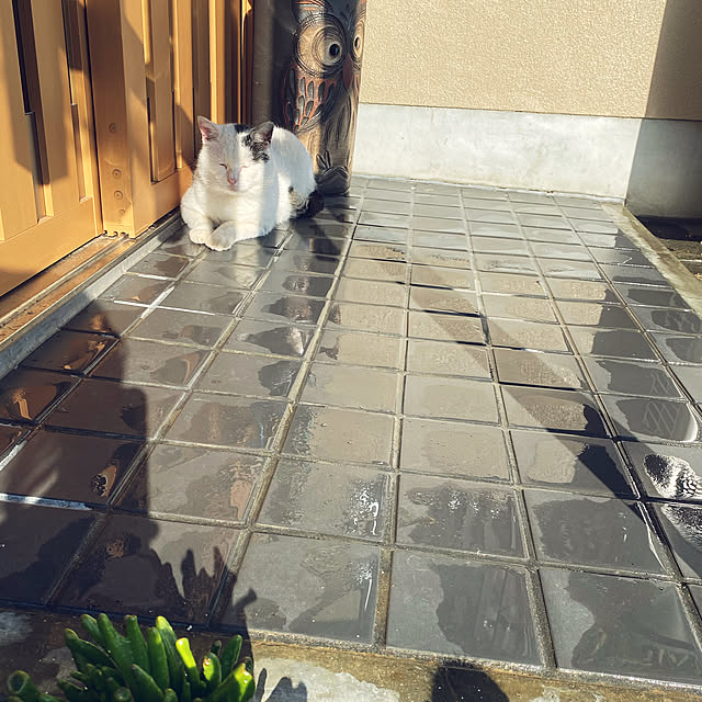 uninekoさんの実例写真