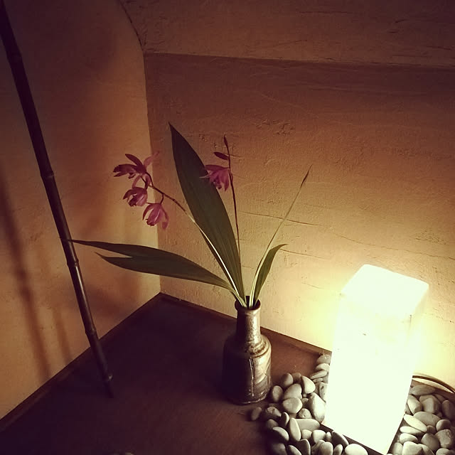 amanojakuさんの実例写真