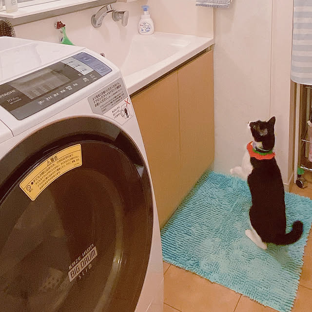 moolさんの実例写真