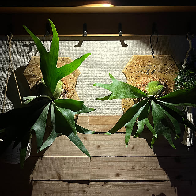 CoffeeHouseさんの部屋