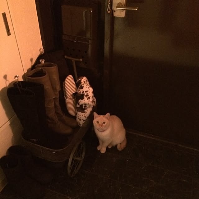 bobooooonさんの実例写真