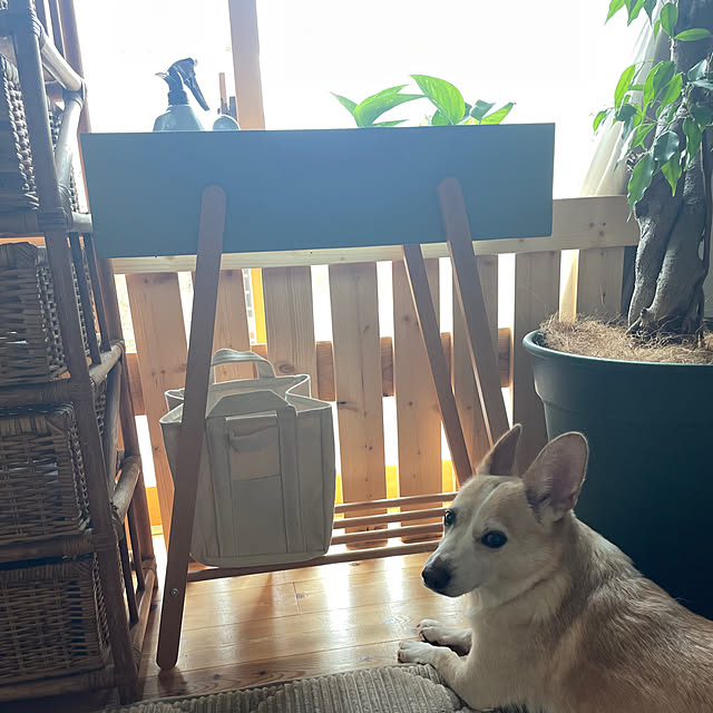 niko.mamさんの部屋