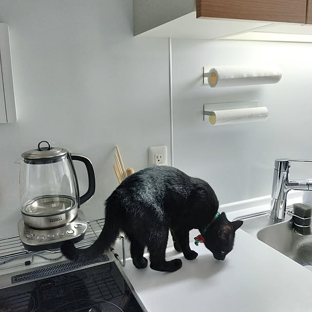 sakuraさんの部屋