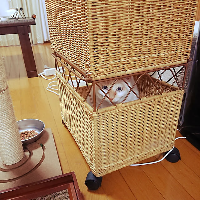 nachiさんの実例写真