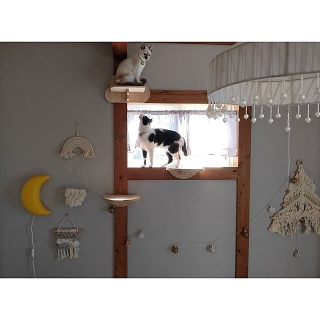 kaoriiiさんの部屋