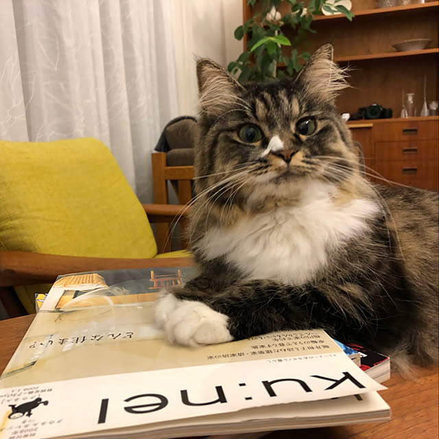 Hisashiさんの実例写真