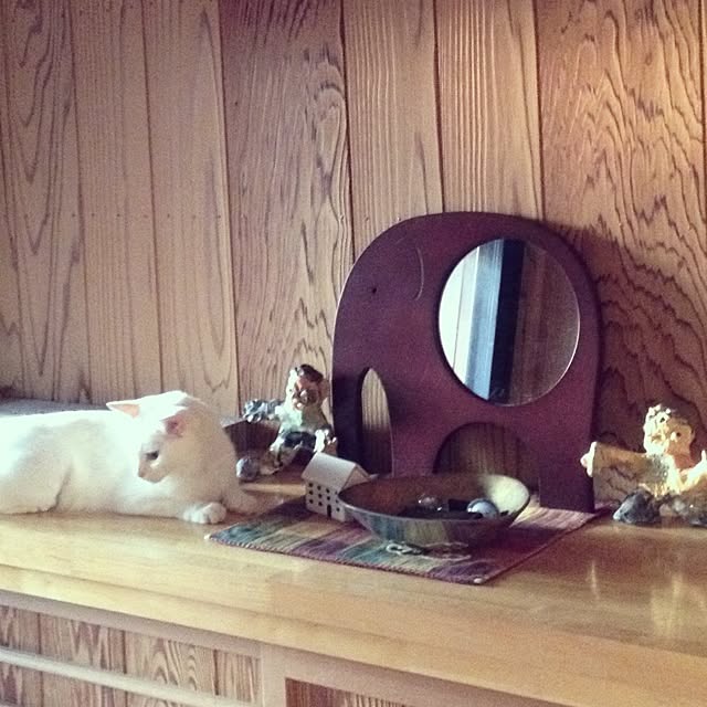 chisyanekoさんの実例写真