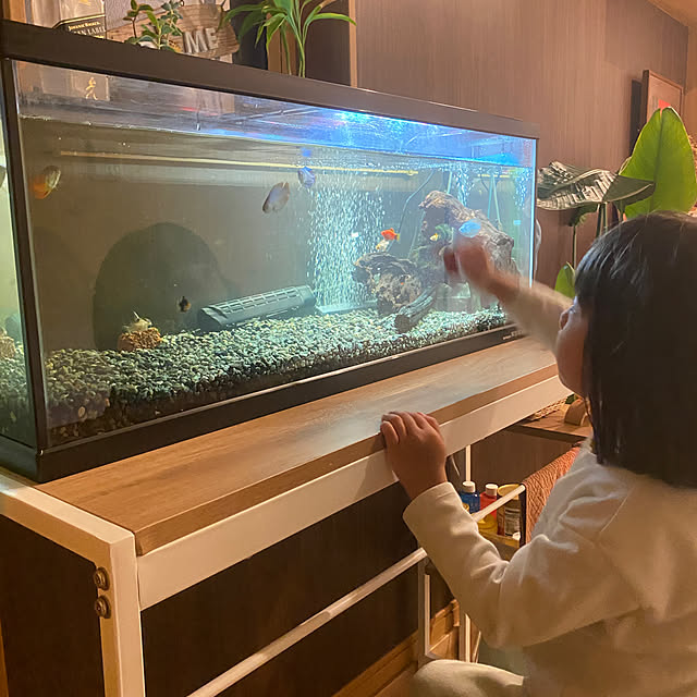 kotaroさんの実例写真