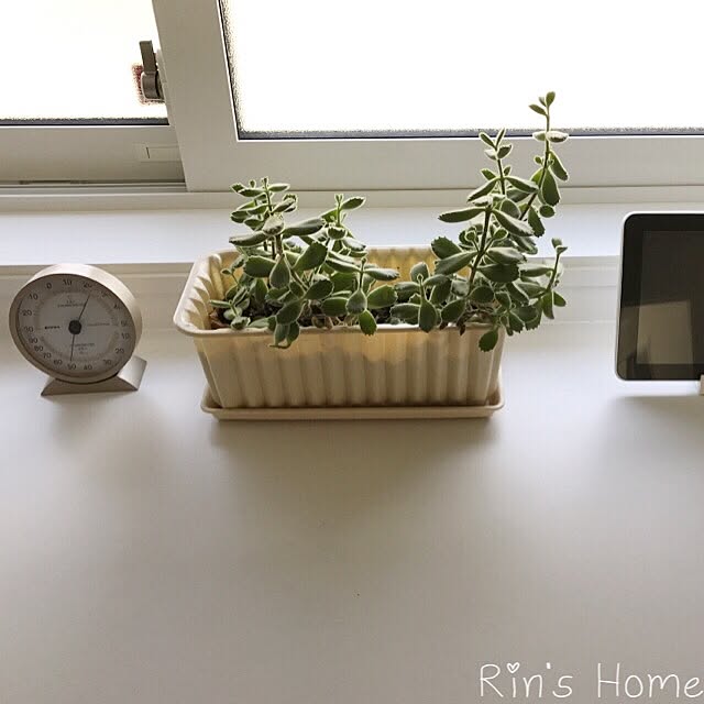 Rinさんの実例写真