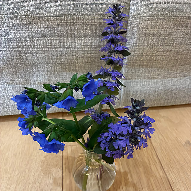 romiromiさんの部屋