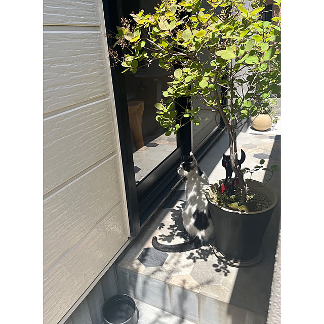 BTGさんの部屋