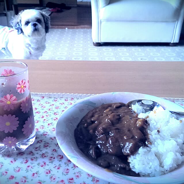 tibiさんの実例写真