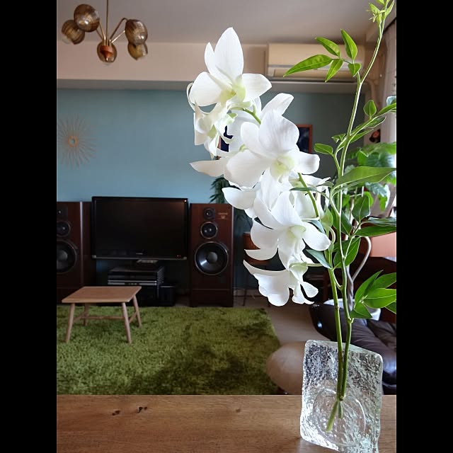 sachiblancさんの実例写真