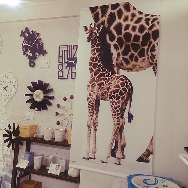 jamstoreさんの実例写真