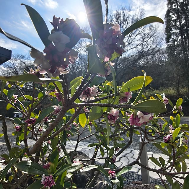 Rubiconさんの部屋