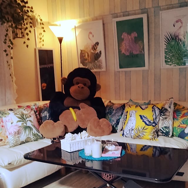 runaさんの実例写真