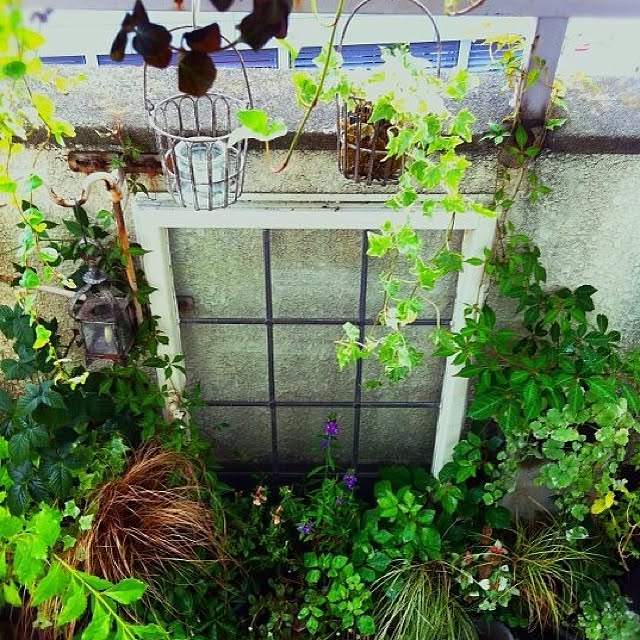 Junichiさんの実例写真