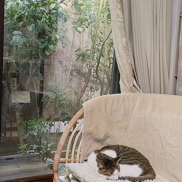 mori_6_12さんの部屋