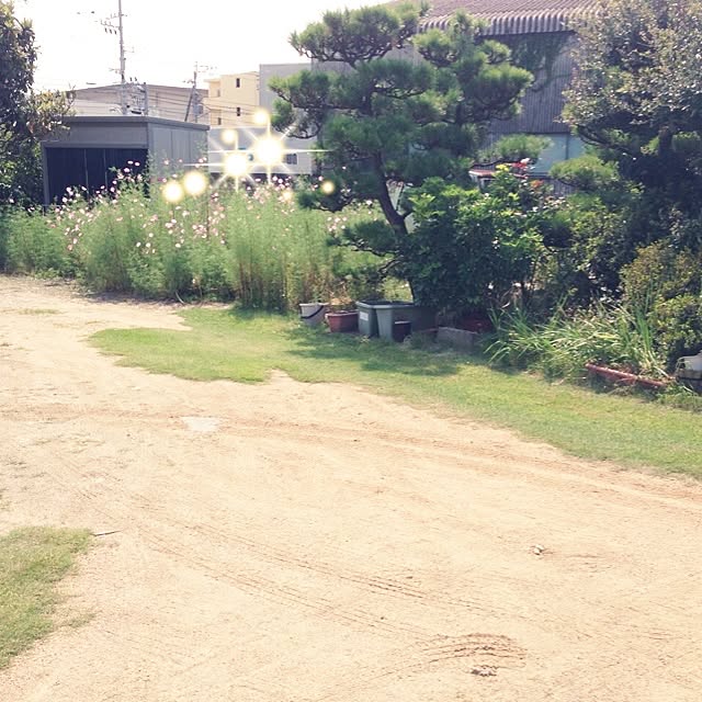 enikkiさんの実例写真
