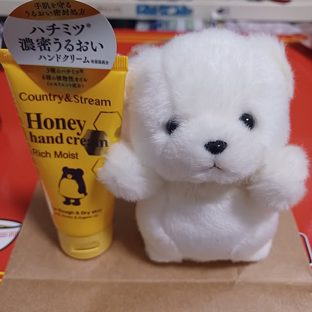 kumakitiさんの部屋