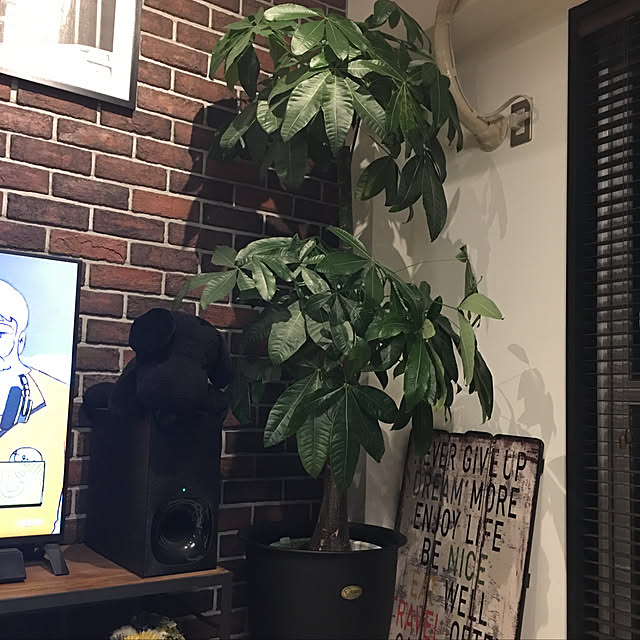 tamさんの実例写真