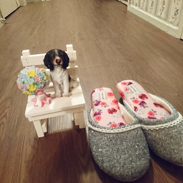 m.retoroさんの実例写真