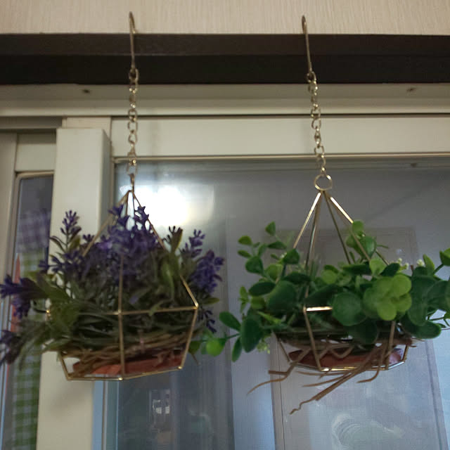 リビング/ダイソー/観葉植物/100均/雑貨...などのインテリア実例 - 2019-11-17 12:25:28