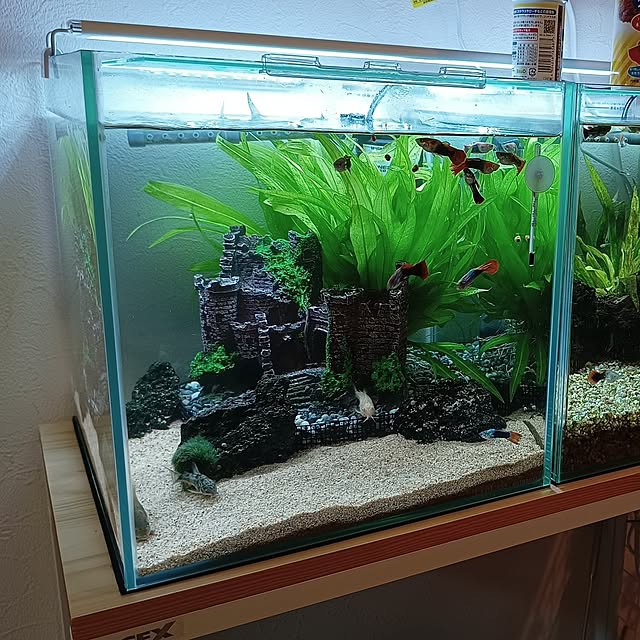 soyokoさんの実例写真