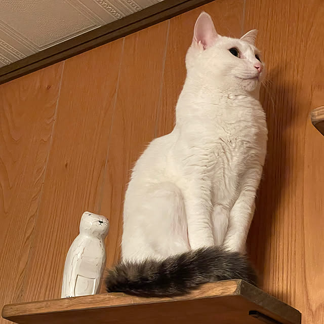 Rt_styleさんの実例写真