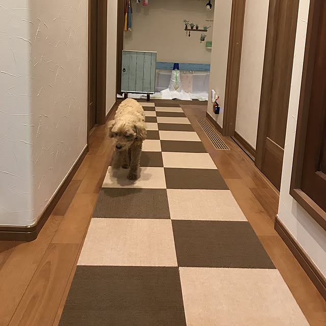 yukichi.wanwaさんの実例写真