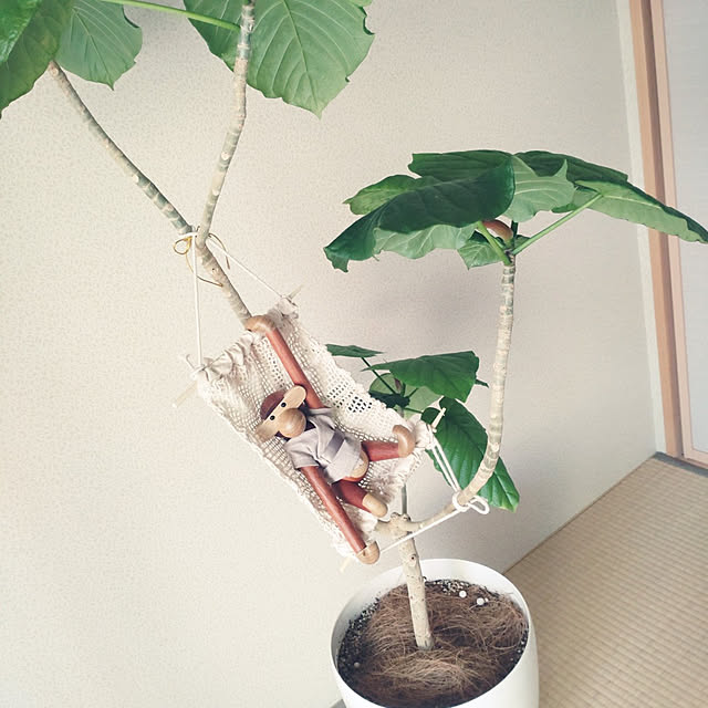 tan5さんの実例写真