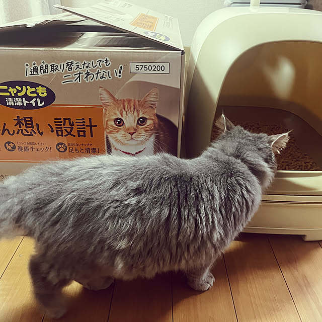 nasuさんの実例写真