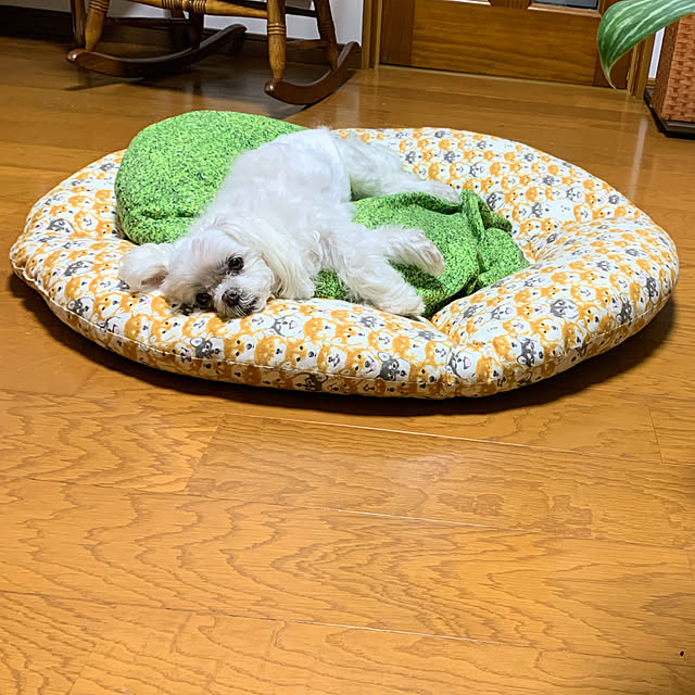 ponyoさんの部屋