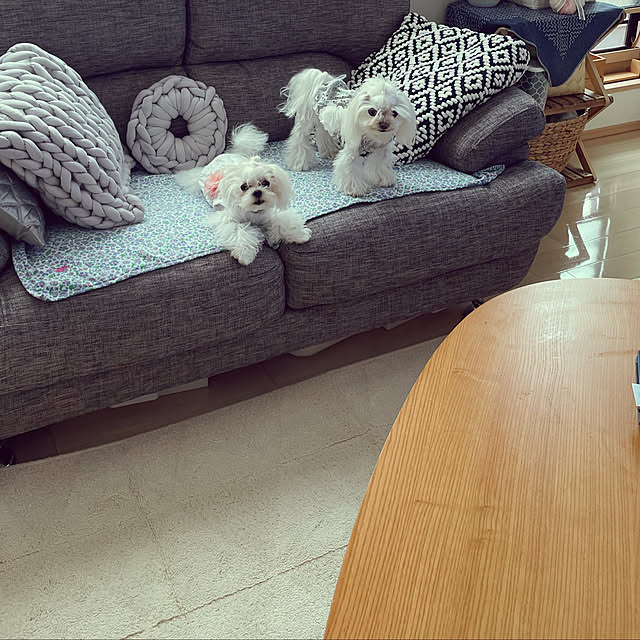 loliontoaliceveさんの実例写真