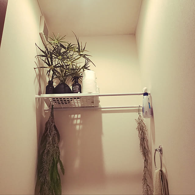 TOTOTOさんの実例写真