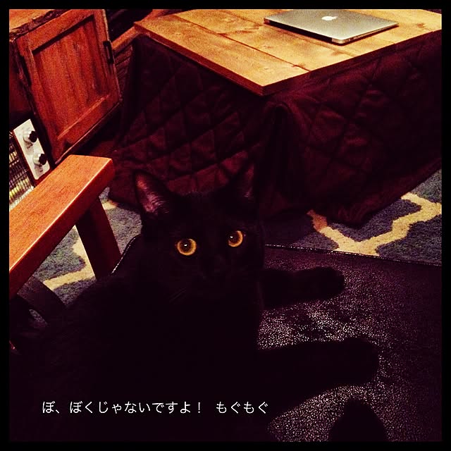 Naoki.さんの実例写真