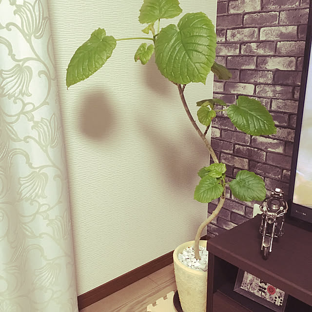 e_.さんの実例写真