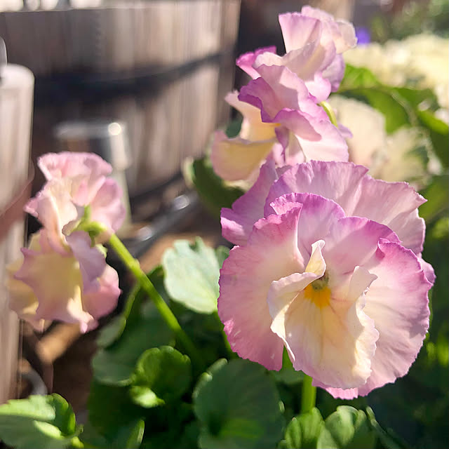 tomoさんの実例写真