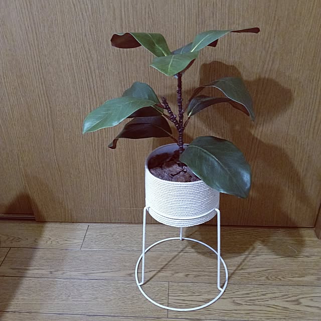 acocoさんの部屋