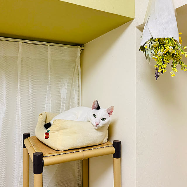 YUKAさんの実例写真