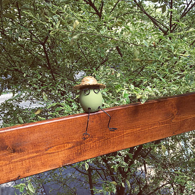 shinnosukeさんの実例写真