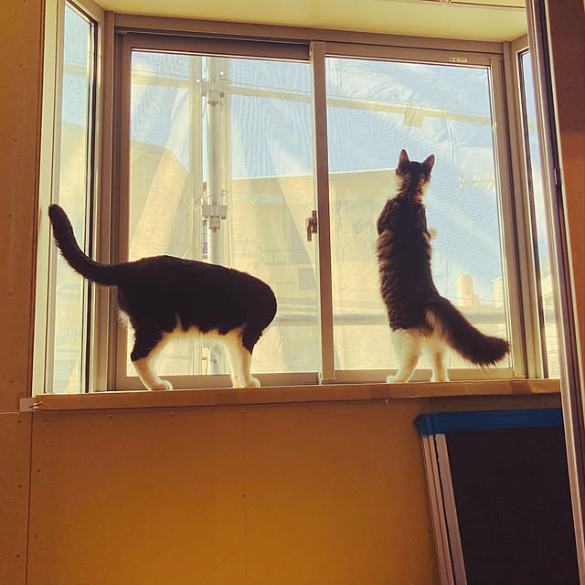 sakura_171220さんの実例写真